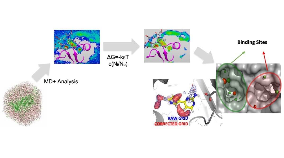 How Does Gain Therapeutics’s SEE-Tx Platform Work