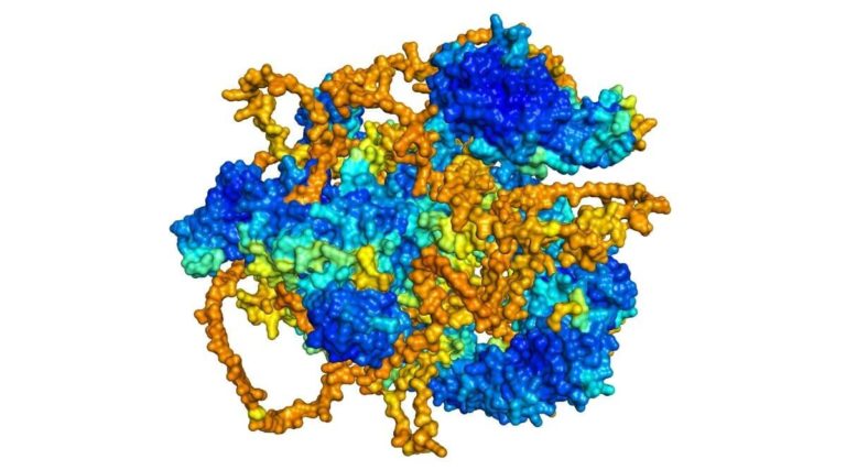 Deepmind AlphaFold Protein Folding Structure Prediction, Everything We ...