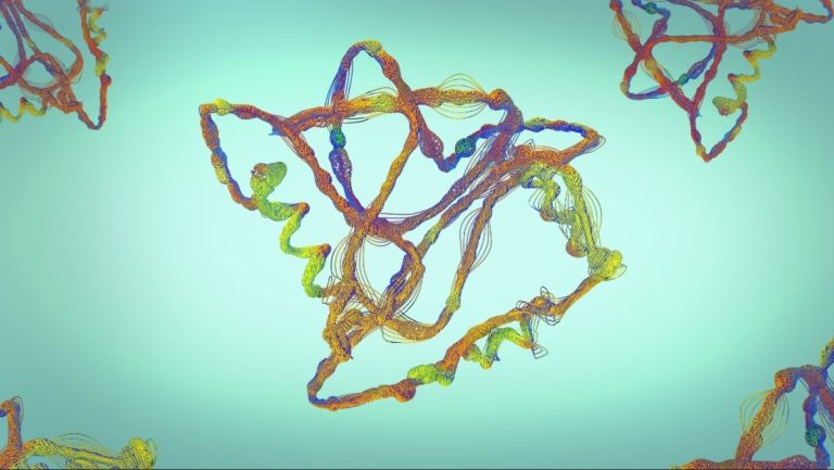 protein-misfolding-diseases-why-is-protein-conformation-important-in