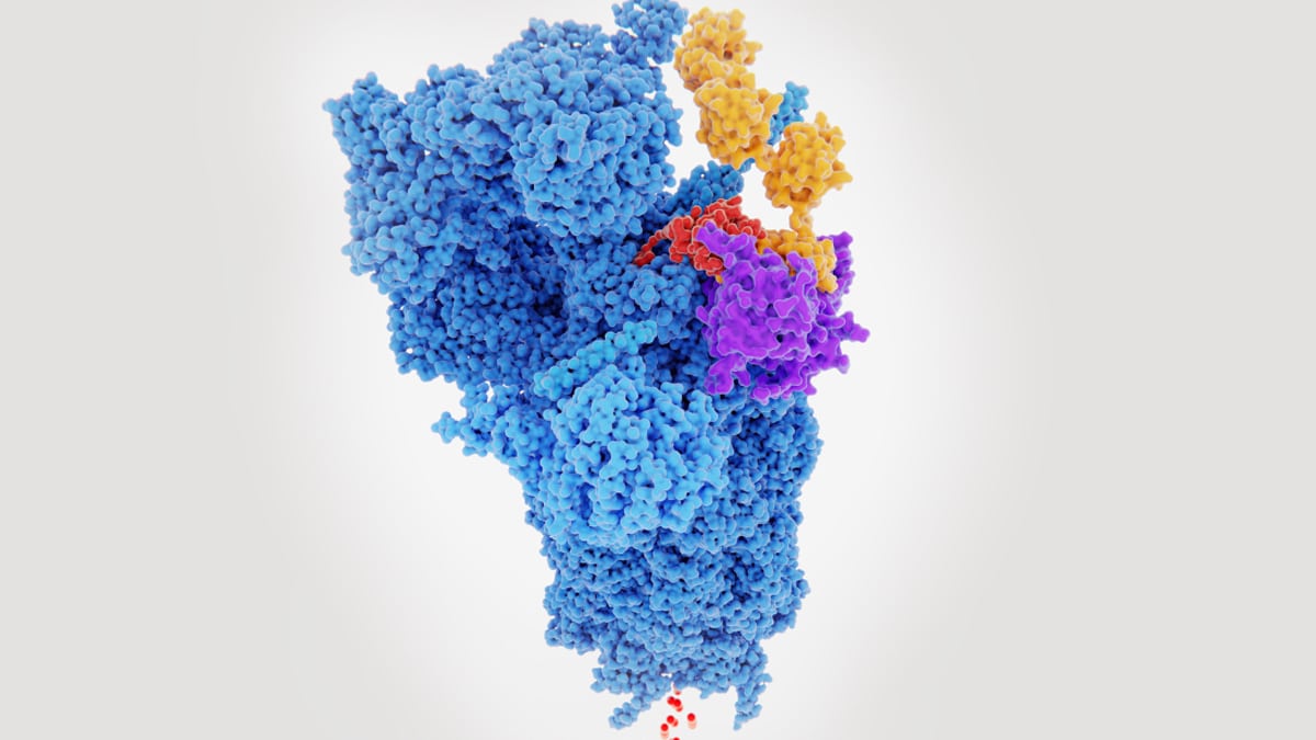 Protein Degradation via PROTAC