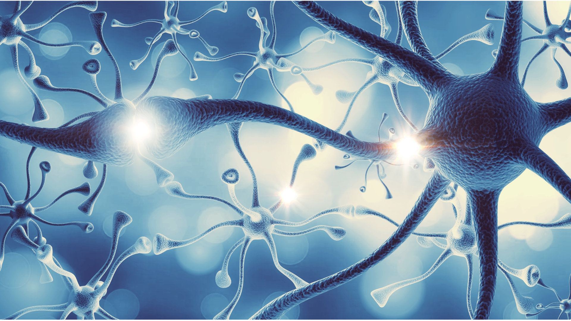 The Critical Importance of Neurodegenerative Disease Biomarkers
